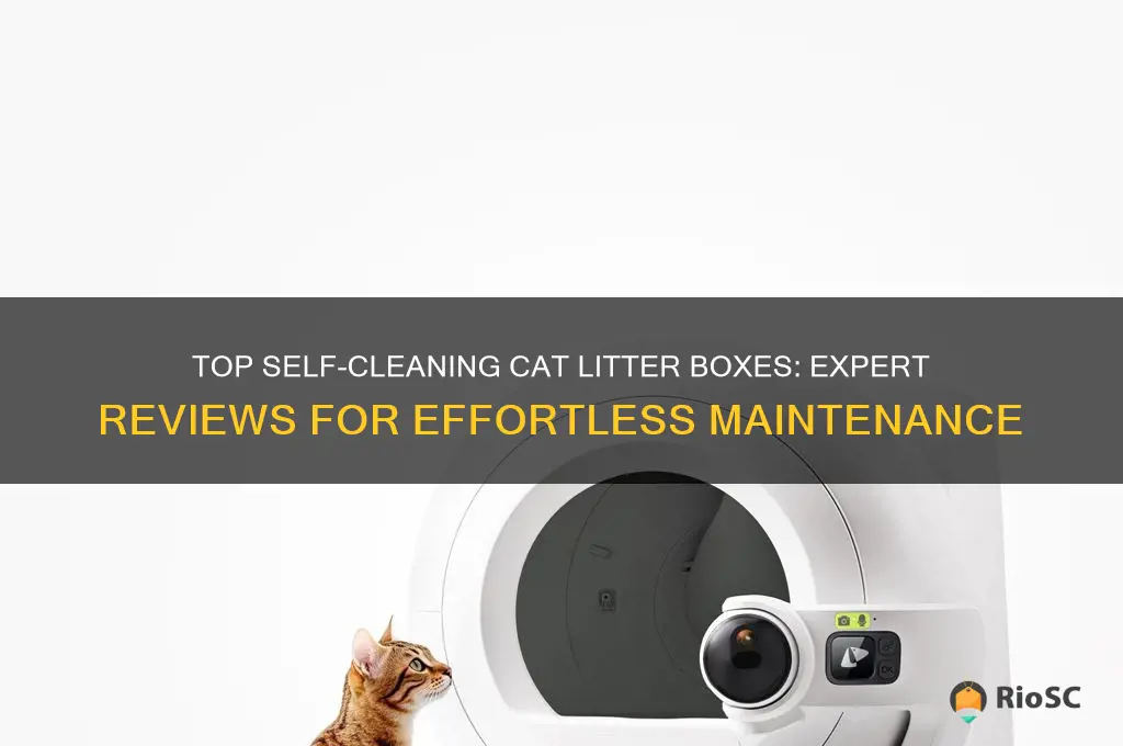 best self cleaning cat litter box reviews