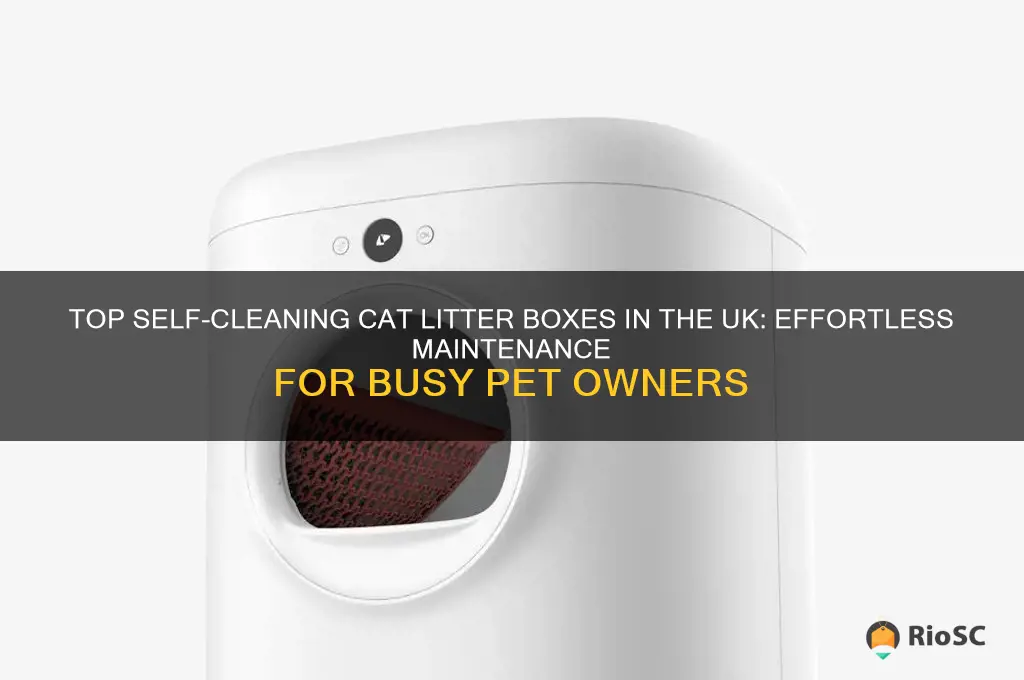 best self cleaning cat litter box uk