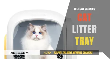 Revolutionize Your Cat Care: Top Self-Cleaning Litter Trays for a Hassle-Free Home