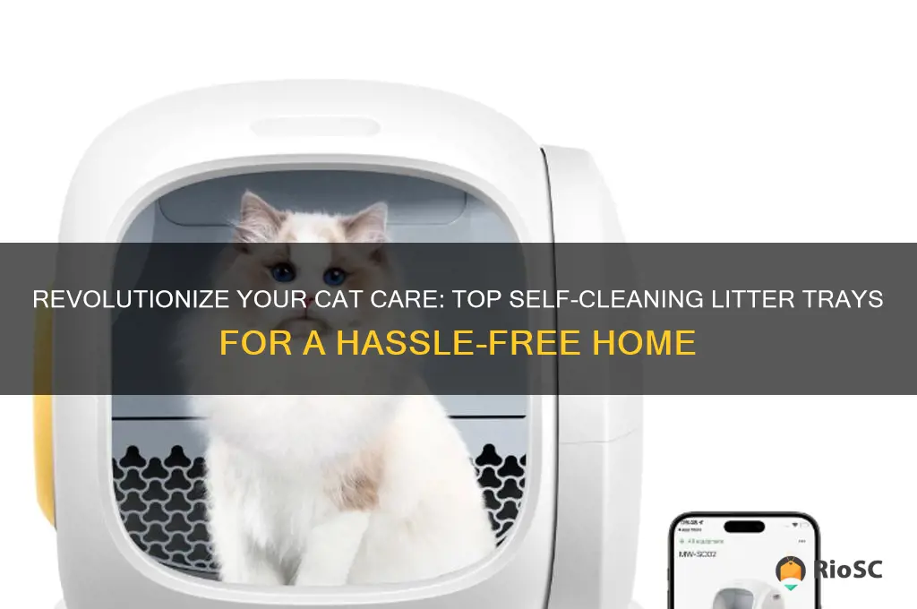 best self cleaning cat litter tray