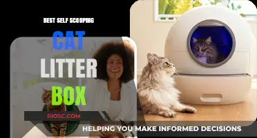 Revolutionize Your Cat Care: Discover the Best Self-Scooping Cat Litter Box for Effortless Maintenance