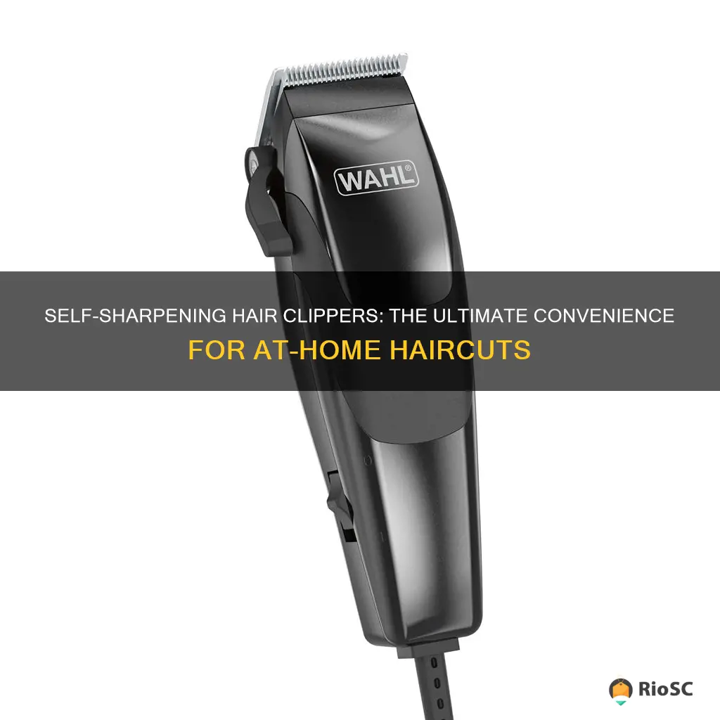 best self sharpening hair clippers