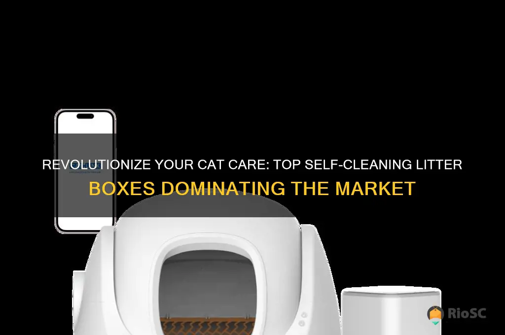 best sellers in self-cleaning cat litter boxes