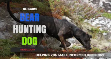 Top-Rated Bear Hunting Dogs: Unmatched Courage and Skill in the Wild