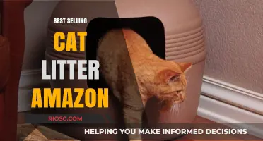Top-Rated Cat Litter on Amazon: Best Sellers for a Clean and Odor-Free Home