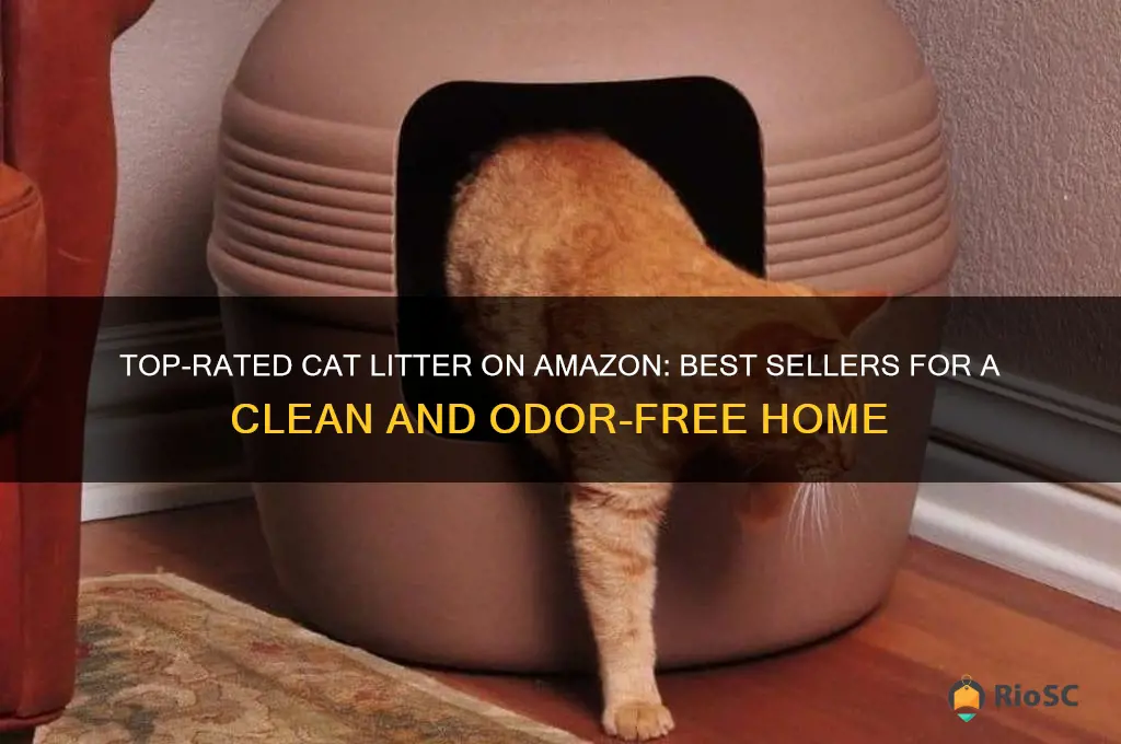 best selling cat litter amazon