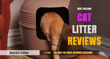 Top-Rated Cat Litter Reviews: Discover the Best-Selling Options for a Clean and Happy Feline Home
