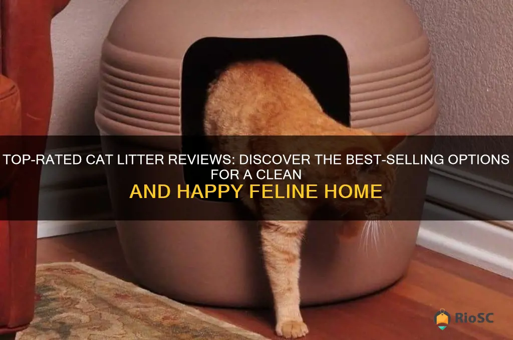 best selling cat litter reviews