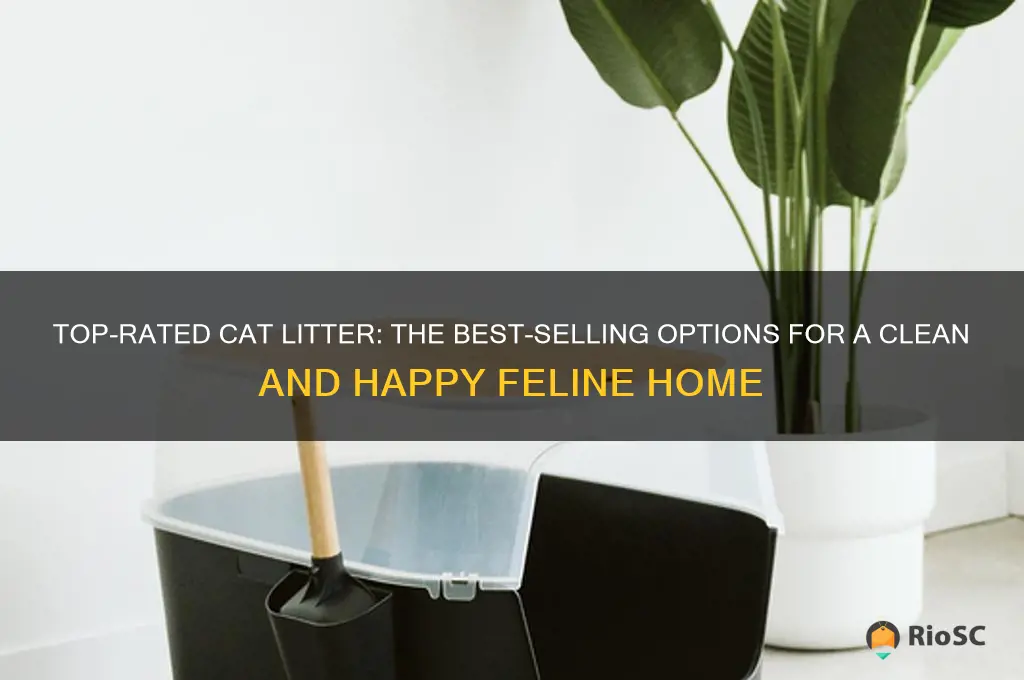 best selling cat litter