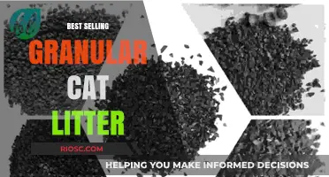 Top-Rated Granular Cat Litter: Best Sellers for Odor Control and Clumping Performance