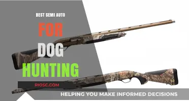 Top Semi-Auto Shotguns for Dog Hunting: Reliable Performance in the Field