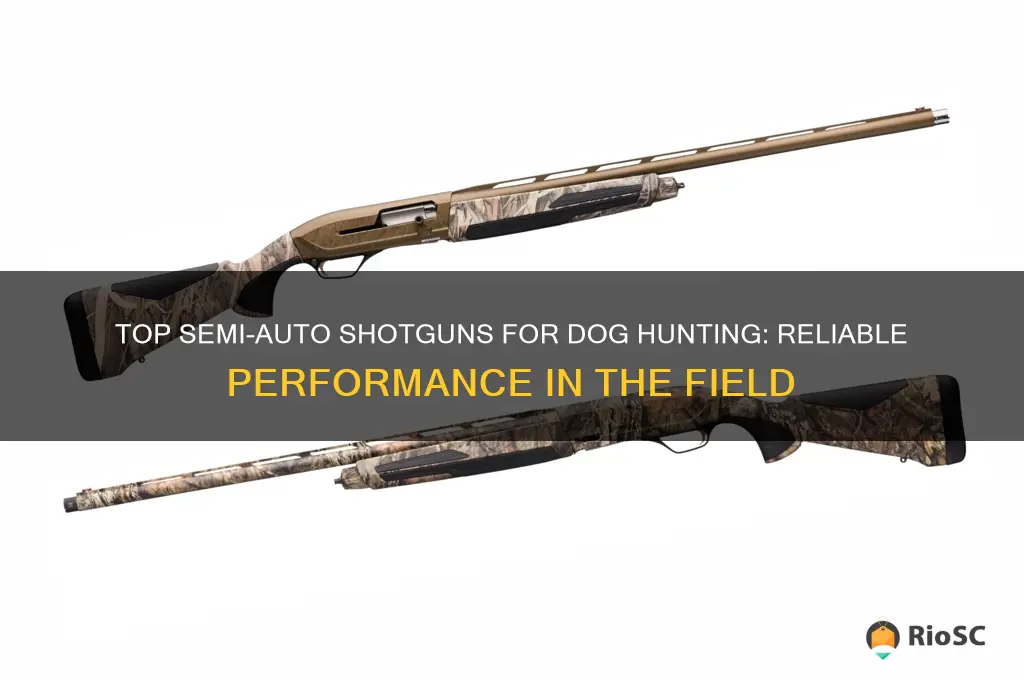 best semi auto for dog hunting