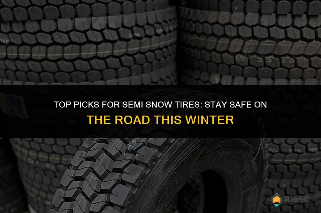 best semi snow tires