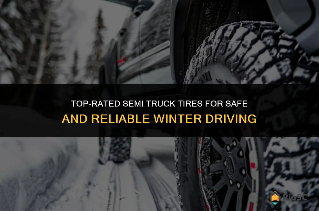 best semi truck tires for winter driving
