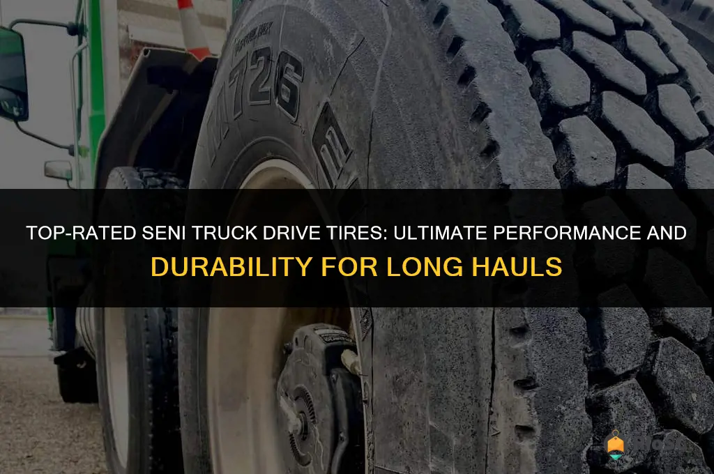 best seni truck drive tires