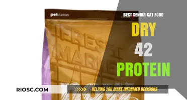 Top-Rated Senior Cat Food: High Protein Dry Options for Your Aging Feline