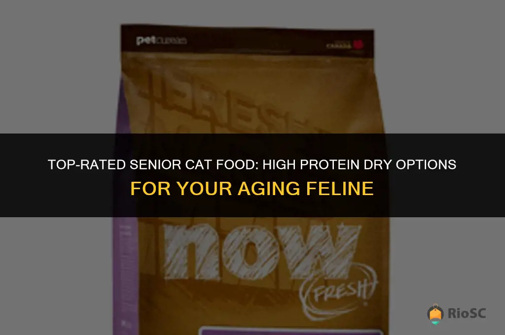best senior cat food dry 42 protein