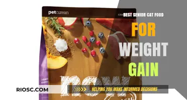 Nourishing Senior Cats: Top Weight Gain Foods for Your Aging Feline Friend