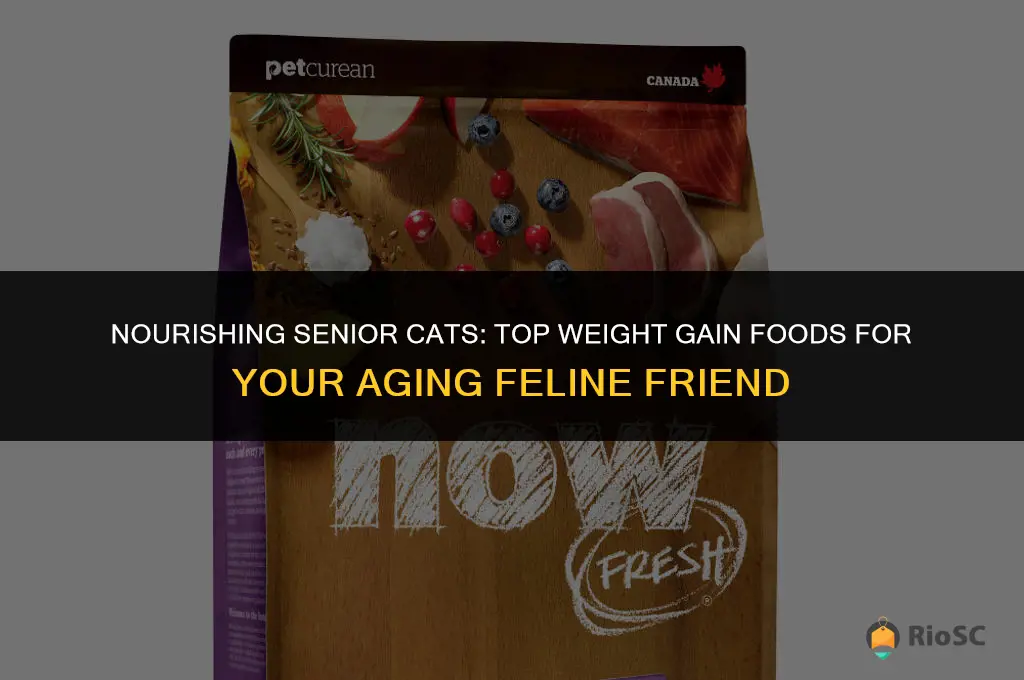 best senior cat food for weight gain