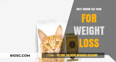 Slimming Down Senior Felines: Top Cat Food Choices for Weight Loss