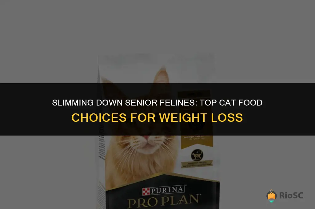 best senior cat food for weight loss