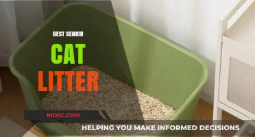Top Picks for Senior Cats: The Best Litter Options for Comfort and Ease