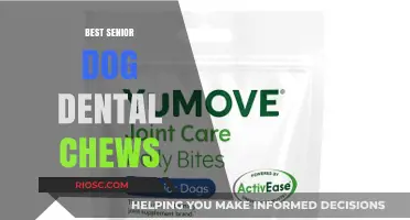 Top Senior Dog Dental Chews: Promote Healthy Teeth and Gums in Aging Canines