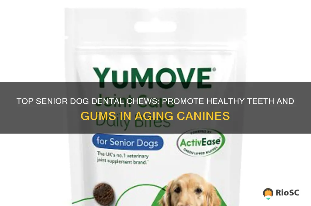 best senior dog dental chews