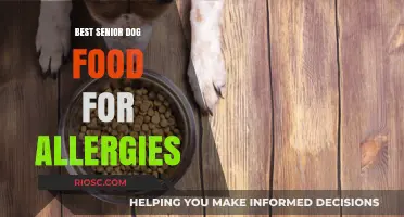Top Hypoallergenic Senior Dog Food Options to Ease Allergies and Promote Health