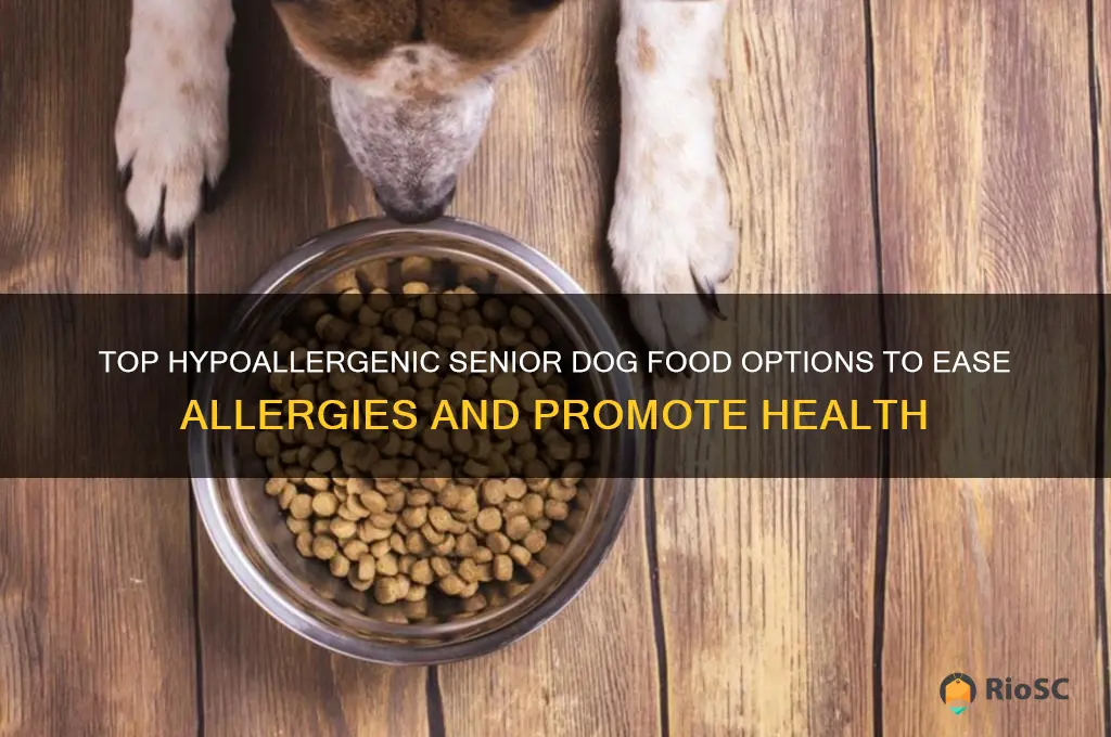 best senior dog food for allergies