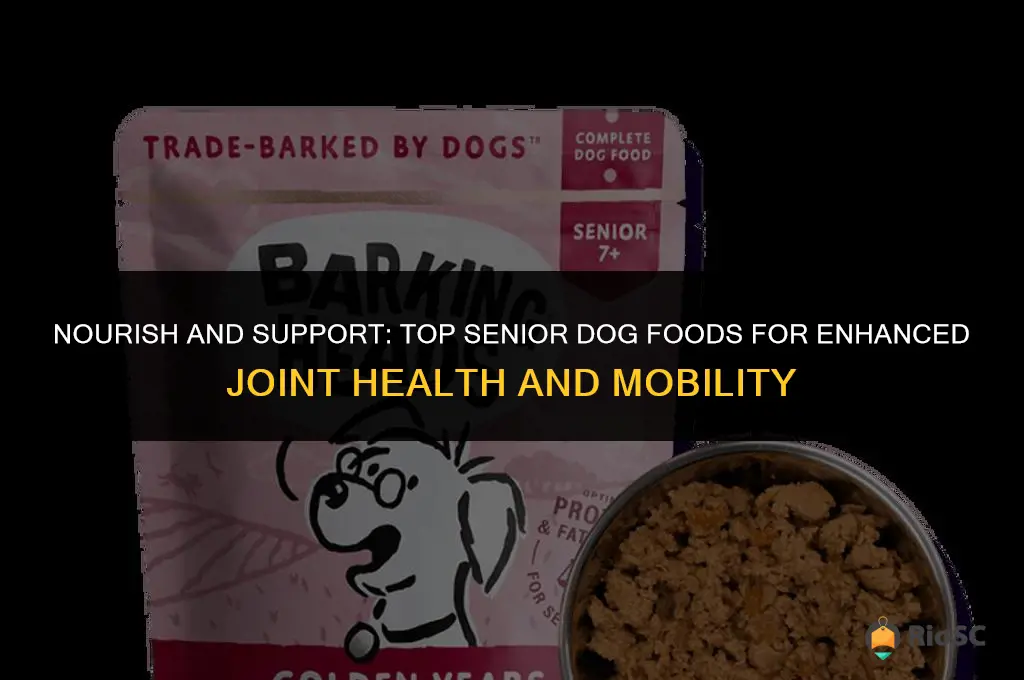 best senior dog food for joint health