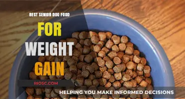 Nutritious Solutions: Top Senior Dog Foods to Promote Healthy Weight Gain