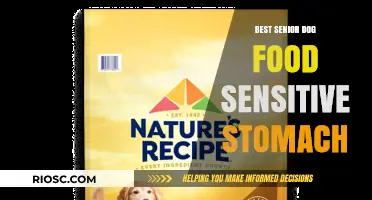 Gentle Nutrition for Aging Dogs: Top Senior Dog Foods for Sensitive Stomachs