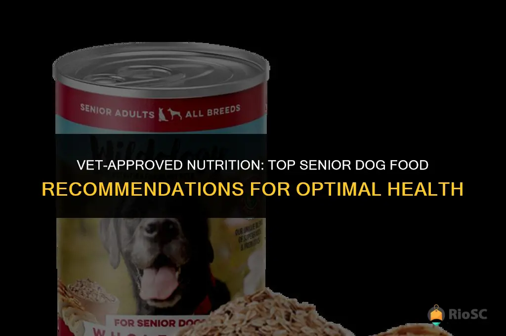 best senior dog food vet recommended