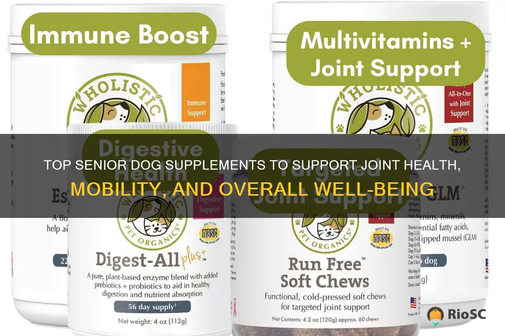 best senior dog supplements
