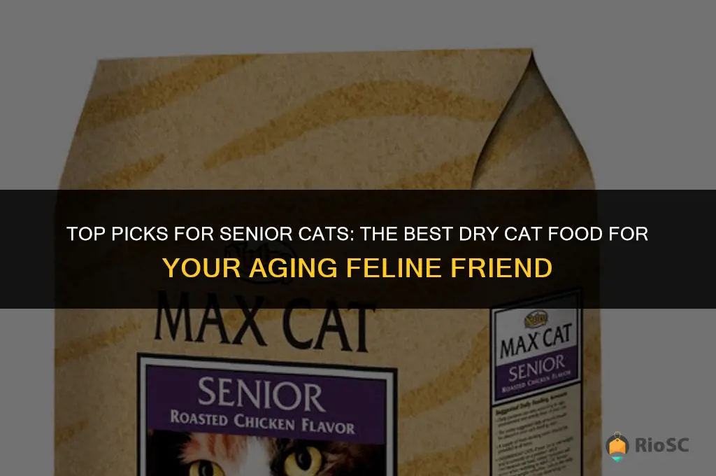 best senior dry cat good