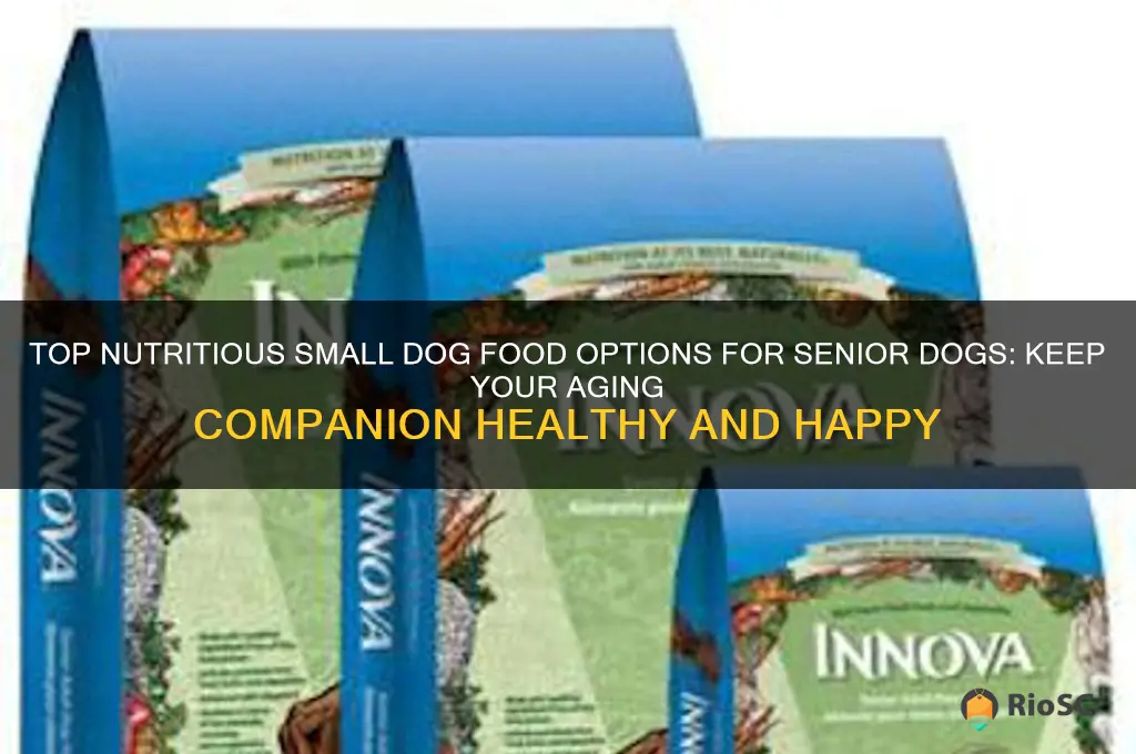 best senior small dog food