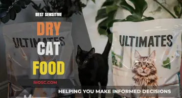 Top Picks for Sensitive Stomachs: The Best Dry Cat Food Options