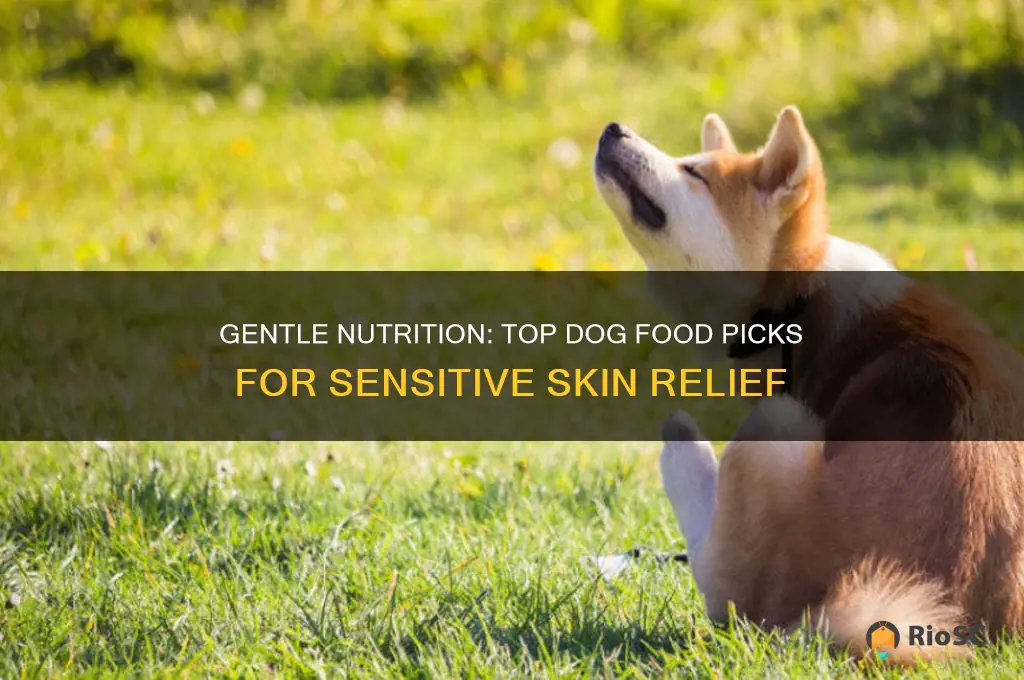 best sensitive skin dog food