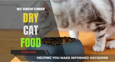Top Picks for Sensitive Stomach Dry Cat Food: A Comprehensive Guide