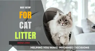 Purr-fectly Clean: The Ultimate Cat Litter Setup for Odor Control and Comfort
