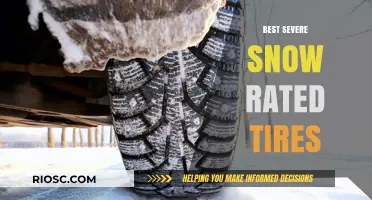 Top-Rated Tires for Severe Snow Conditions: Stay Safe on the Road This Winter