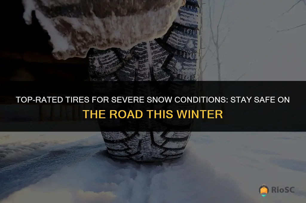 best severe snow rated tires