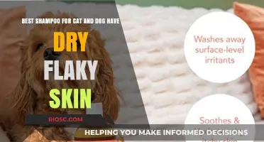 Top Picks for Soothing Shampoos: Relief for Your Pet's Dry, Flaky Skin