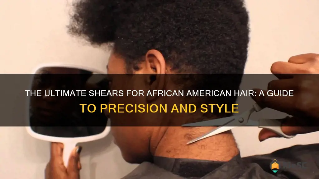 best shears for african american hair