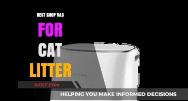 Top-Rated Shop Vacs for Effortless Cat Litter Cleanup: A Pet Owner's Guide