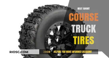 Top-Rated Short Course Truck Tires for Optimal Performance and Durability