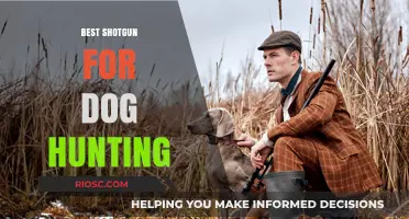 Top Shotgun Picks for Dog Hunting: Reliability, Range, and Precision in the Field
