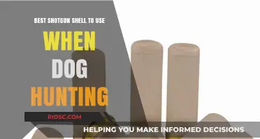 Top Shotgun Shell Choices for Safe and Effective Dog Hunting