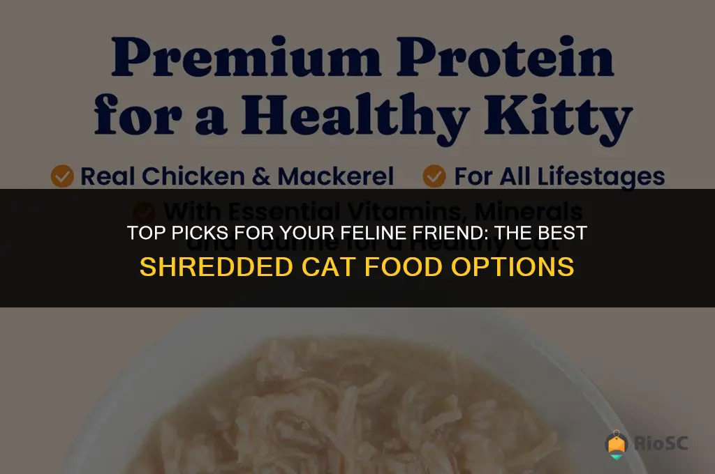 best shredded cat food